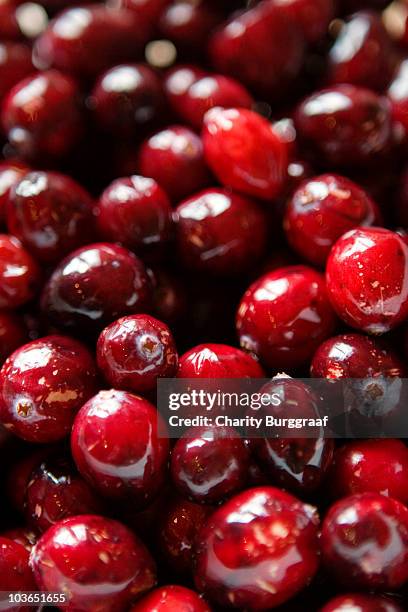 cranberries close-up - cramberry stock-fotos und bilder