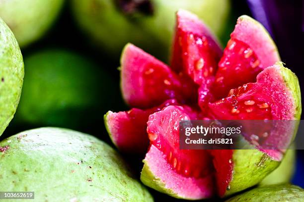 goiaba / red guava - guayaba stock pictures, royalty-free photos & images