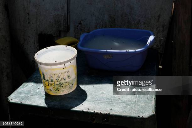 Bowl of water and a bucket in a settlement in the dumps of Gramacho in Rio den Janeiro, Brazil, 13 Augsut 2016. Hundreds of people live in wooden...