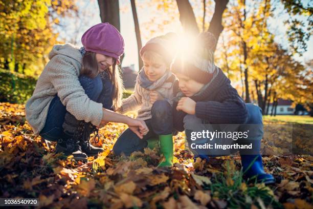 kids playing with autumn leaves - kids discovery stock pictures, royalty-free photos & images