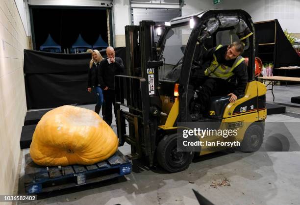 Entrants arrive through the night with their giant pumpkin as they prepare for the giant vegetable competition on the first day of the Harrogate...