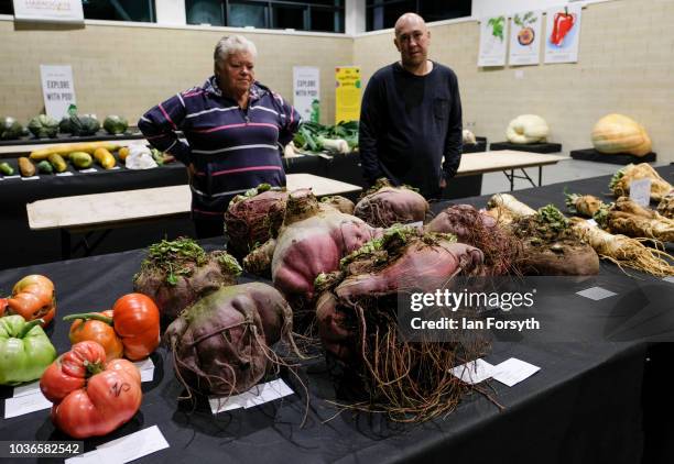 Entrants arrive through the night and lay out their giant beetroot as they prepare for the giant vegetable competition on the first day of the...