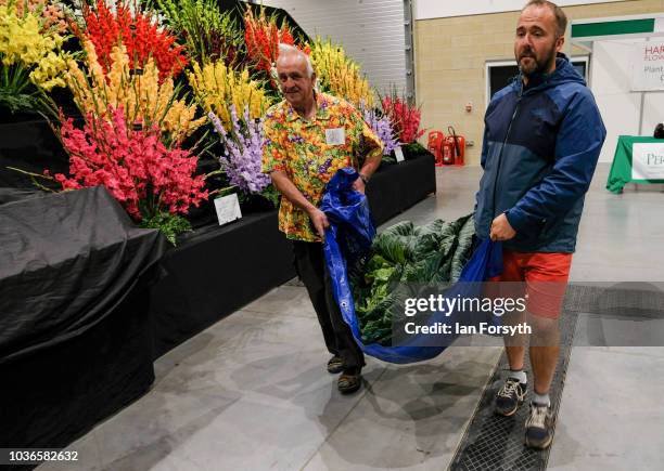 Kevin Fortey and Ian Neale from Newport arrive overnight with a Giant cabbage as they prepare for the giant vegetable competition on the first day of...