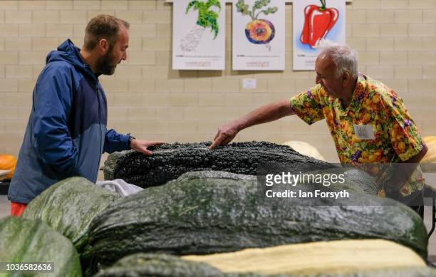 Kevin Fortey and Ian Neale from Newport arrive overnight with a Giant marrow as they prepare for the giant vegetable competition on the first day of...