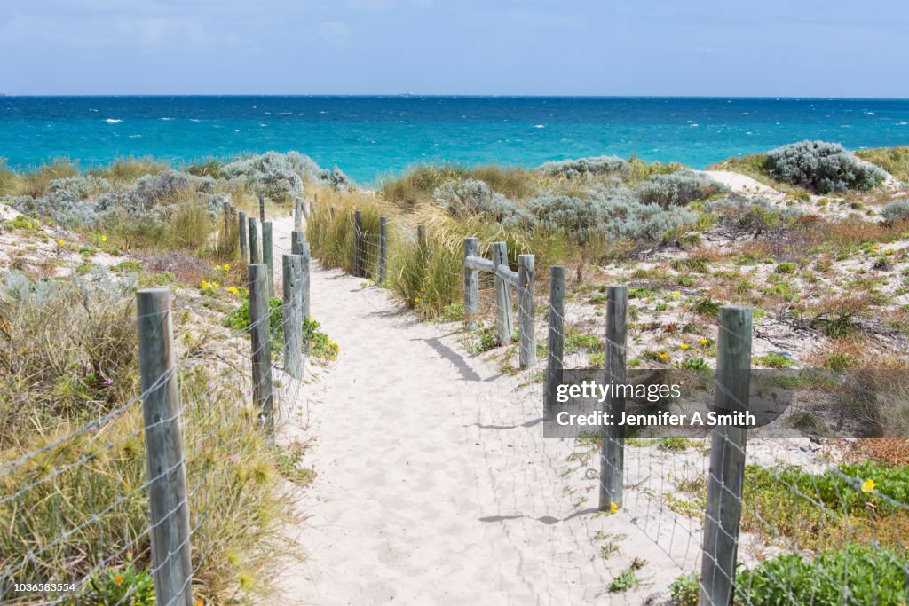 Beach Path