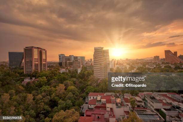 sunset in polanco mexico city - mexico city park stock pictures, royalty-free photos & images
