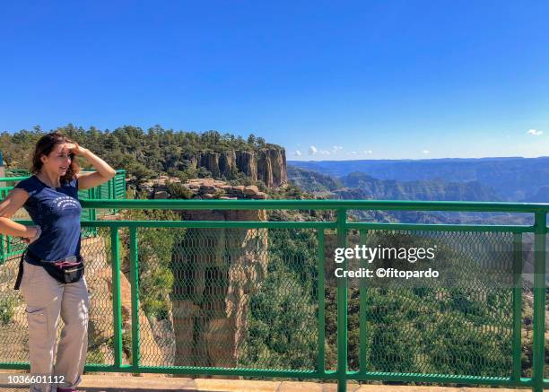 woman contemplating the copper canyon - chihuahua mexico stock pictures, royalty-free photos & images