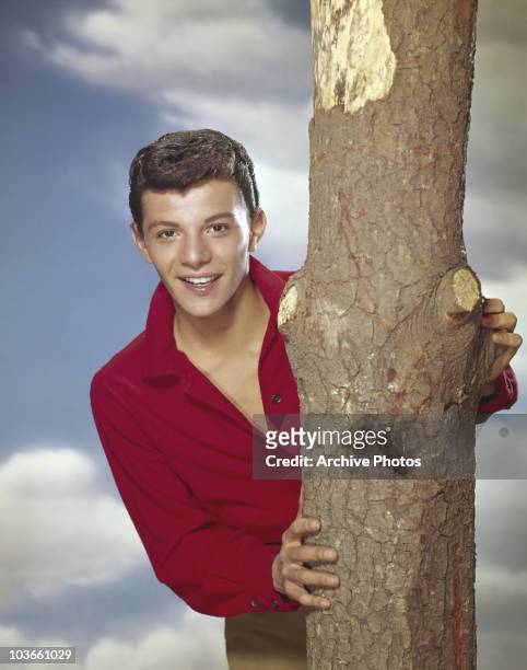 Singer and actor Frankie Avalon pictured in a studio portrait, USA, circa 1960. A smiling Avalon is wearing a red shirt while posing beside a tree...