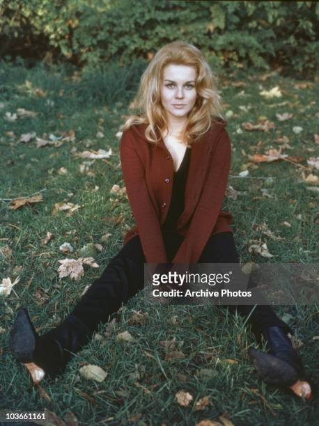 Actress Ann-Margret pictured seated on grass strewn with autumnal leaves, her legs spread with her arms dropped between her legs, USA, circa 1965....