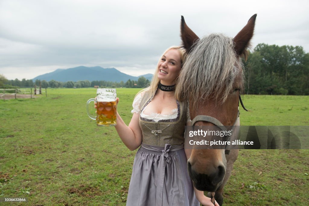 Wiesn playmate 2016 visits brewery horses