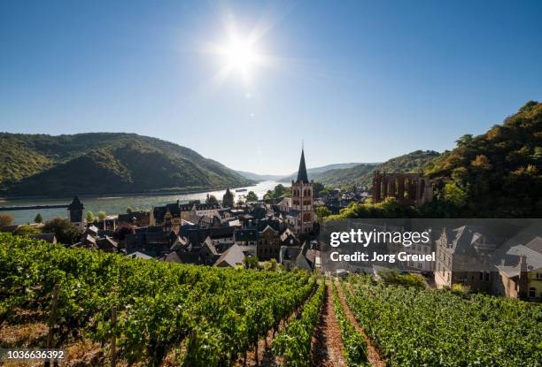 bacharach on the rhine - bacharach stock pictures, royalty-free photos & images