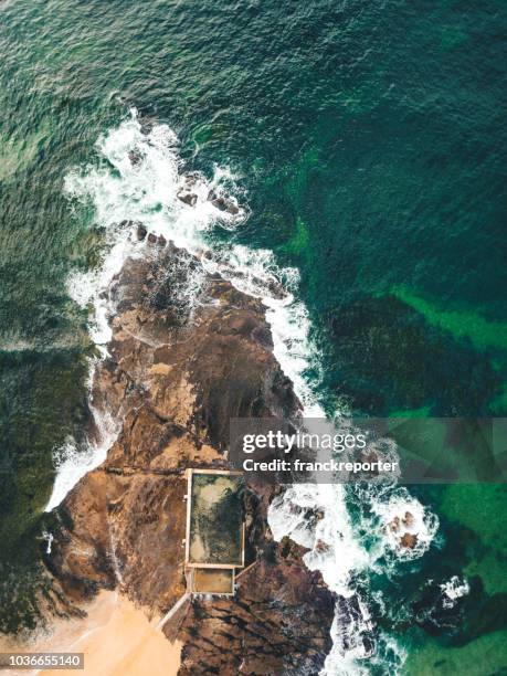 mona vale beach natural pool - bondi pool stock pictures, royalty-free photos & images