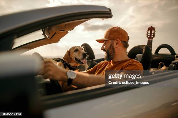 we are alone with out thoughts - car interior stock pictures, royalty-free photos & images