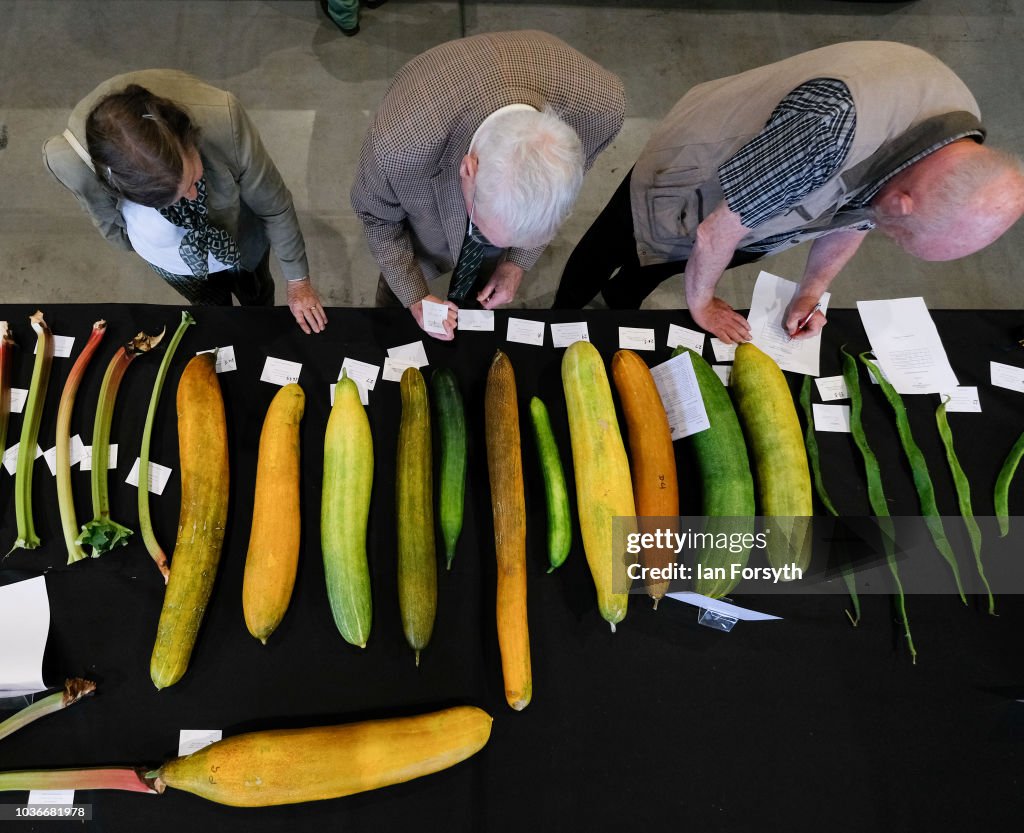 Entrants To The Harrogate Flower Show Giant Vegetable Competition Prepare Their Produce
