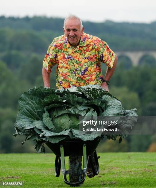 Ian Neale from Newport poses for a media call with his winning cabbage which won with a weight of 30.2kg after judging takes place for the giant...