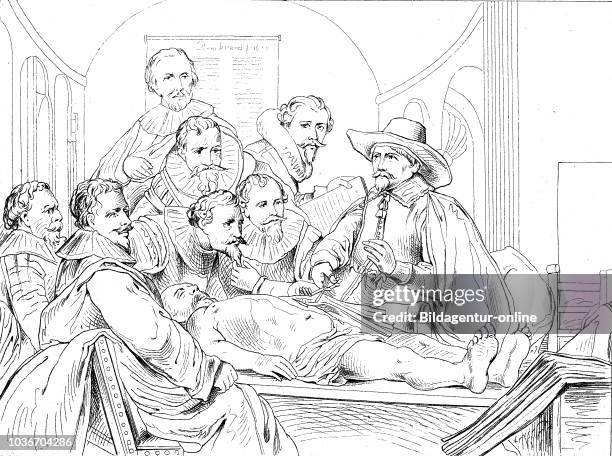 Nick Tulp 24 Dr Nicolaes Tulp Photos & High Res Pictures - Getty Images