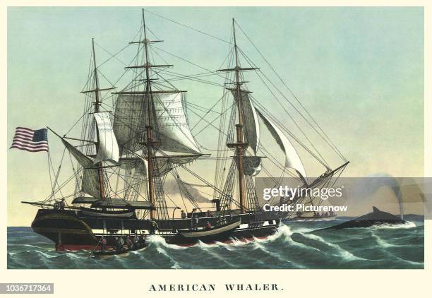 American Whaler.