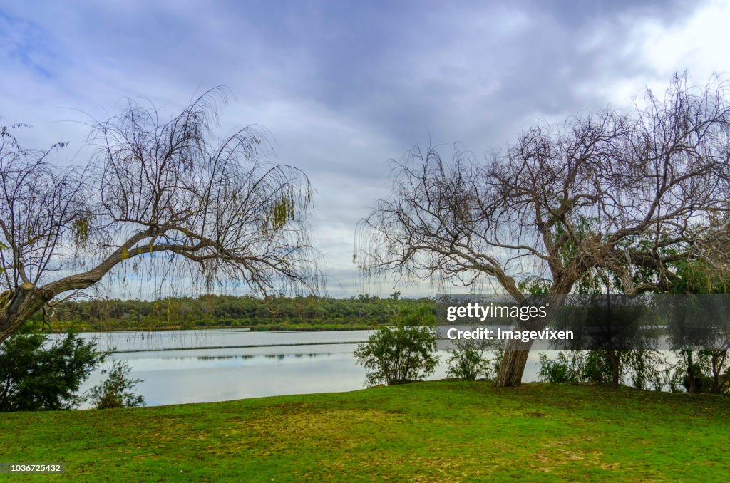 Perth Andover Rural Rural Landscape Yanchep Perth Western Australia Australia High-Res ...