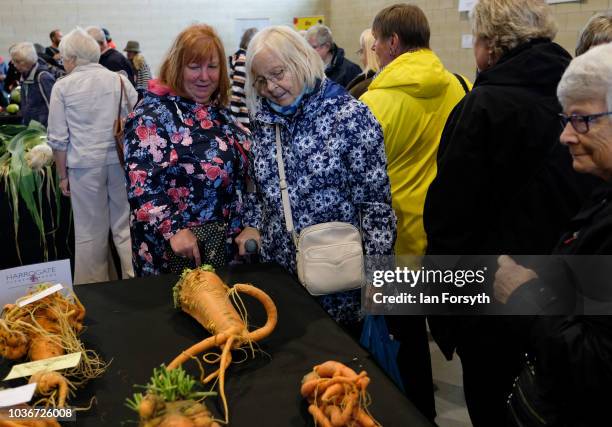 Members of the public view the carrots and parsnips in the giant vegetable competition as they are displayed on the first day of the Harrogate Autumn...