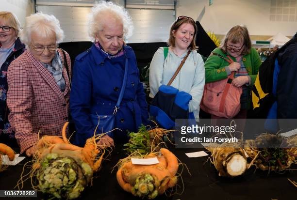Members of the public view the carrots and parsnips in the giant vegetable competition as they are displayed on the first day of the Harrogate Autumn...