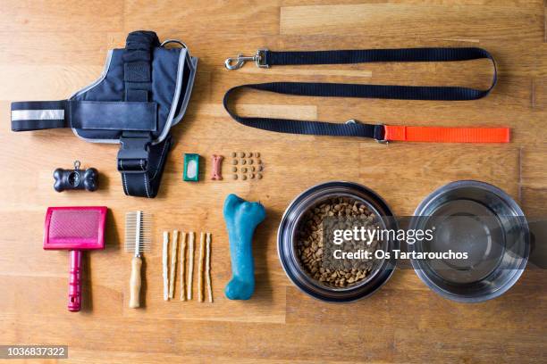 dog items knolling - haustierbedarf stock-fotos und bilder