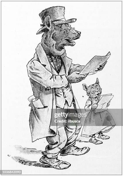 humanized animals illustrations: bear singing - bear cub stock illustrations