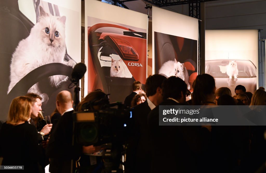 Karl Lagerfeld presents Photo Calender featuring cat  Choupette