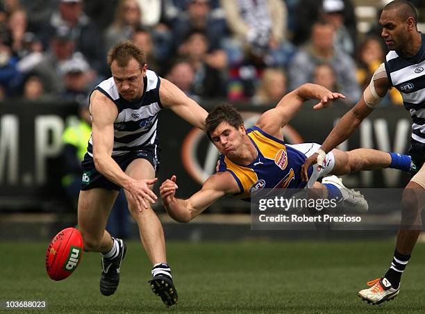 Darren Milburn of the Cats and Koby Stevens of the Eagles contest the ball during the round 22 AFL match between the Geelong Cats and the West Coast...