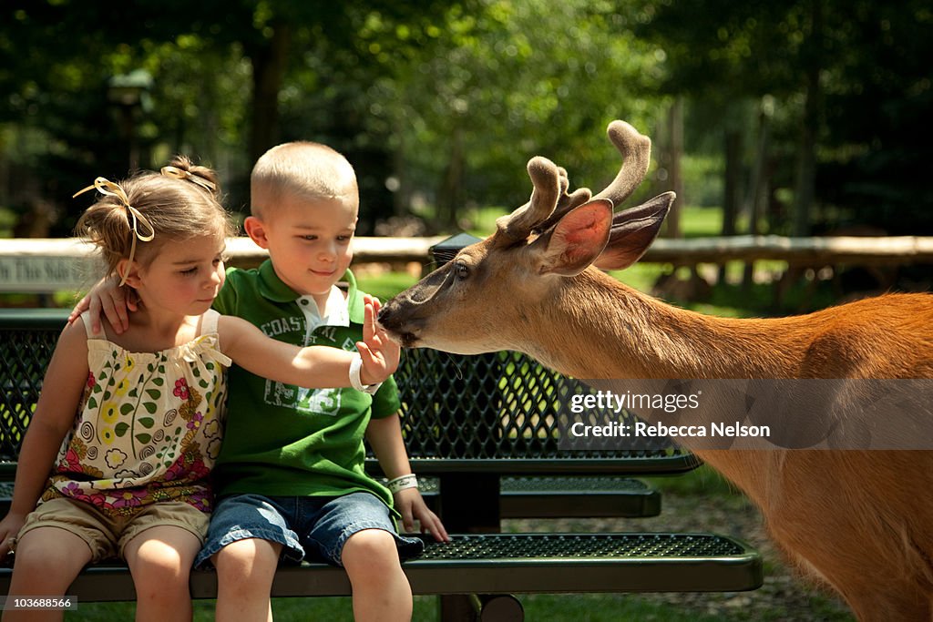 Young girl and boy on bench being sniffed by deer