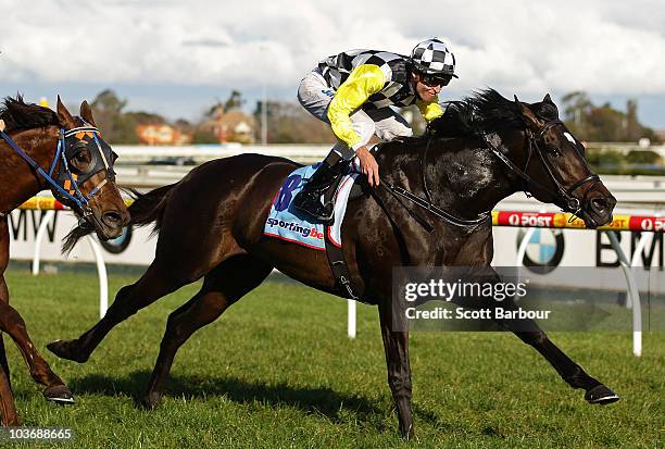 Jockey Steven Arnold rides So You Think to win race 6 the New Zealand Bloodstock Memsie Stakes during Memsie Stakes Day at Caulfield Racecourse on...