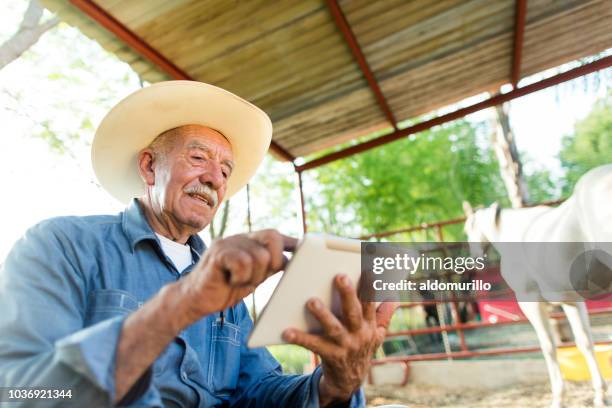 senior mexicaanse man op het paard ranch en het gebruik van digitale tablet - holding horse stockfoto's en -beelden