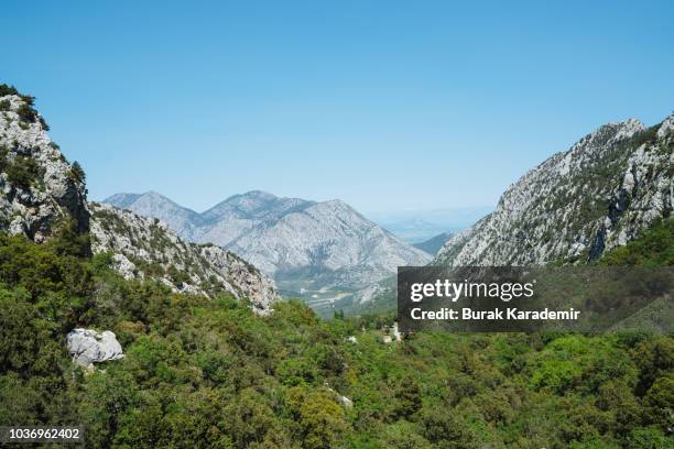 mountains and forest - ecuador v united states stock-fotos und bilder