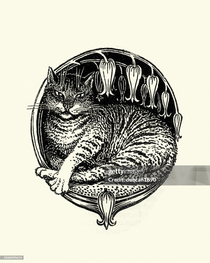 Cat amoung the flowers, 19th Century woodcut