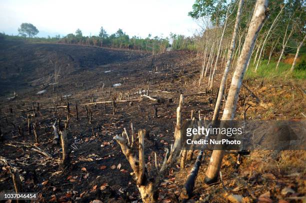 Kalimantan Barat, Indonesia, on September 21, 2018: Used Land burning occurred in West Kalimantan, on September 19, 2018. West Kalimantan Province...