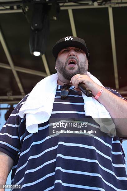 Recording artist Ill Bill performs during the 7th Annual Rock The Bells festival on Governors Island on August 28, 2010 in New York City.