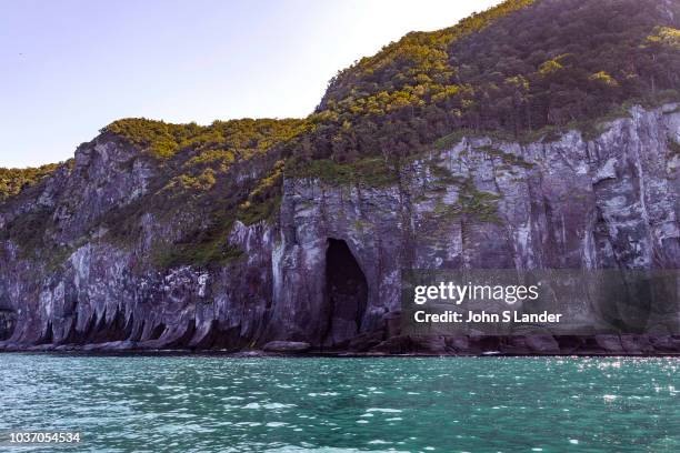 The Shiretoko Peninsula is well known in Japan for its beautiful lakes, dramatic waterfalls and unusual rock formations by the sea - but it is much...