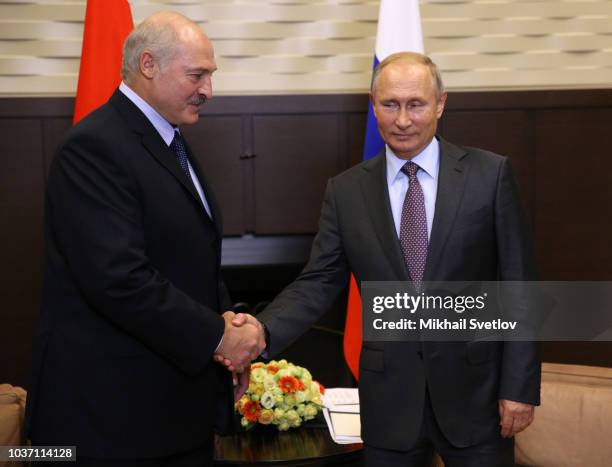 Russian President Vladimir Putin greets Belarussian President Alexander Lukashenko during their meeting at Putin's Black Sea state residence of...