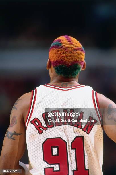 Dennis Rodman of the Chicago Bulls looks on from behind against the Los Angeles Clippers on December 5, 1996 at the United Center in Chicago,...