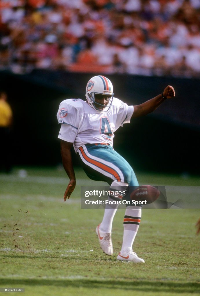 Tim Rudy Nfl Punter Reggie Roby of the Miami Dolphins punts the ball during an NFL ...