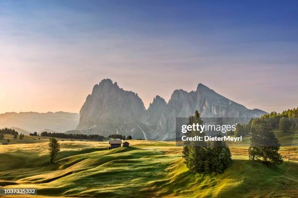 alba all'alpe di siusi con sassolungo o langkofel mountain group in background - austria foto e immagini stock