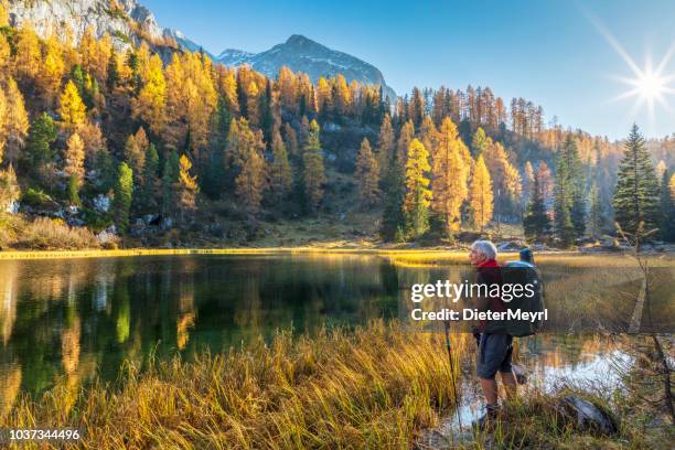 einsame wanderer bei alpin see schwarzensee im herbst, nationalpark berchtesgaden - alpen - berchtesgaden stock-fotos und bilder