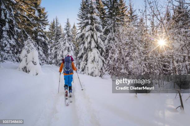 escursionismo invernale - sci alpinismo nelle alpi - telemark foto e immagini stock