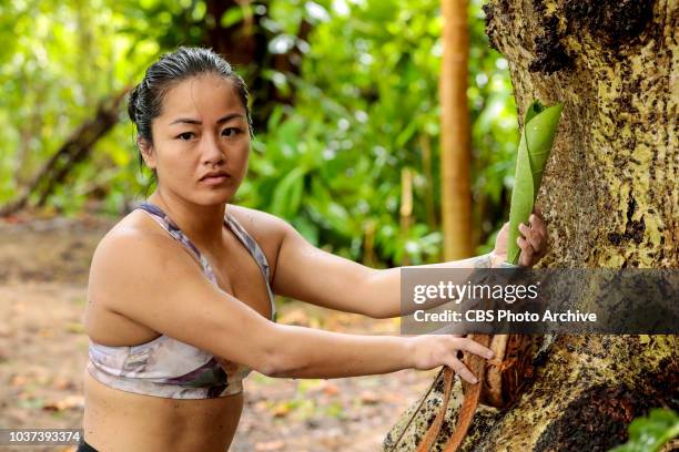 Appearances Are Deceiving" - Bi Nguyen competes on SURVIVOR when the Emmy Award-winning series returns for its 37th season, themed David vs. Goliath,...