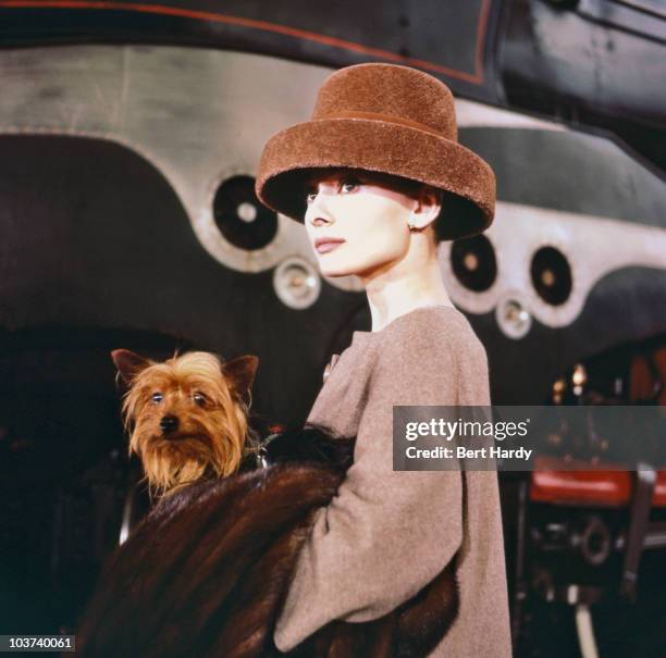 Actress Audrey Hepburn pictured, carrying a dog, while wearing a fur hat, on the set of 'Funny Face', 1956. Original Publication : Picture Post -...