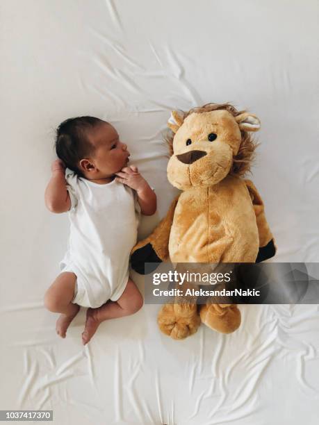 portrait of a newborn baby and his favorite toy - infant bodysuit stock pictures, royalty-free photos & images