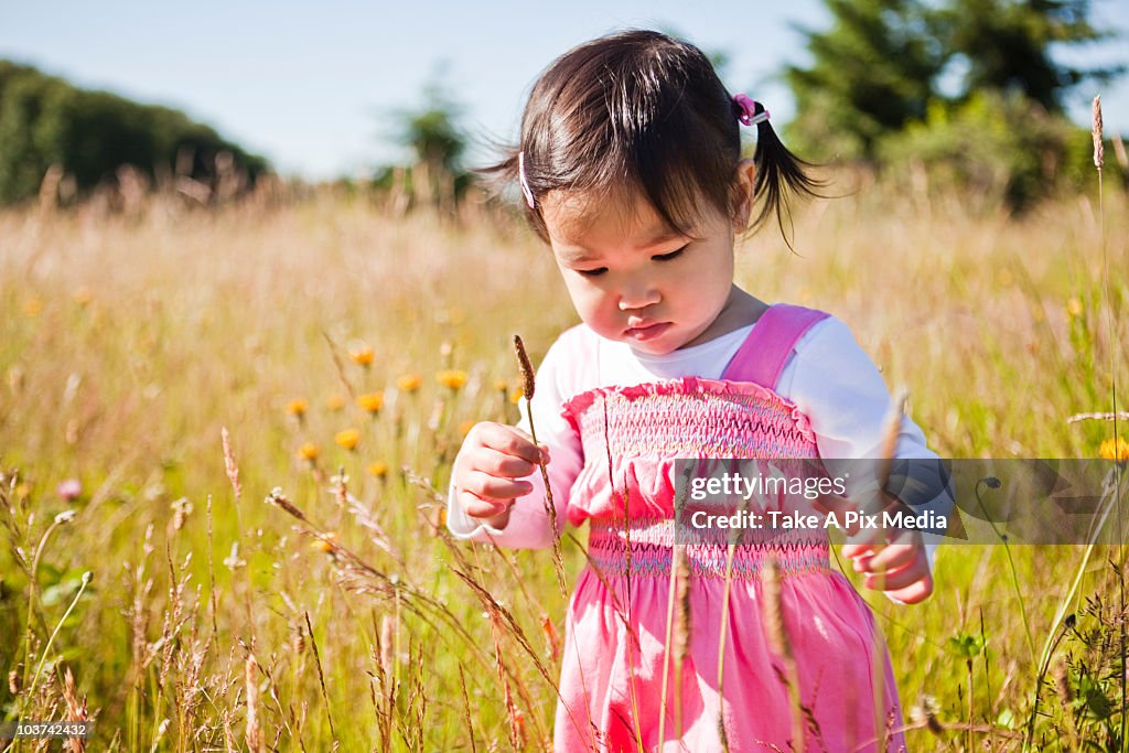 Curious Chinese girl looking at flower