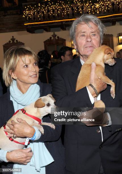 French actor Alain Delon and German actress Uschi Glas posing with dogs at a traditional Christmas display at the Gut Aiderbichl animal sanctuary in...