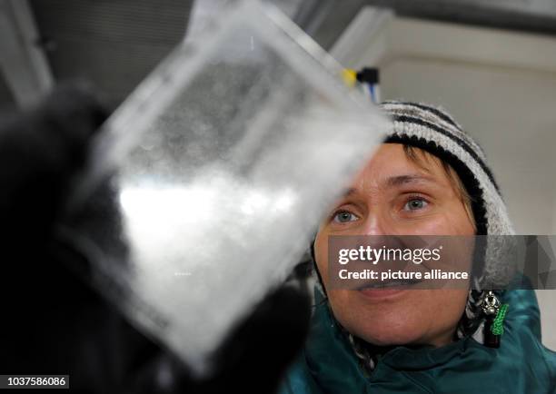 Geologist and glaciologist of the Alfred Wegener Institute for Polar and Marine Research , Ilka Weikusat, examines a sample of ice that was found...