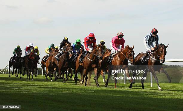 Runners head down the back straight at Lingfield Park during the Gallagher Group Handicap on September 1, 2010 in Lingfield, England.