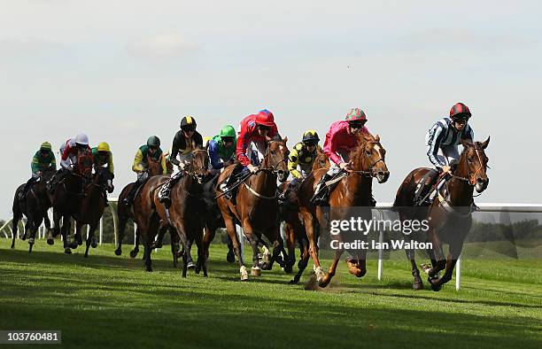 Runners head down the back straight at Lingfield Park during the Gallagher Group Handicap on September 1, 2010 in Lingfield, England.